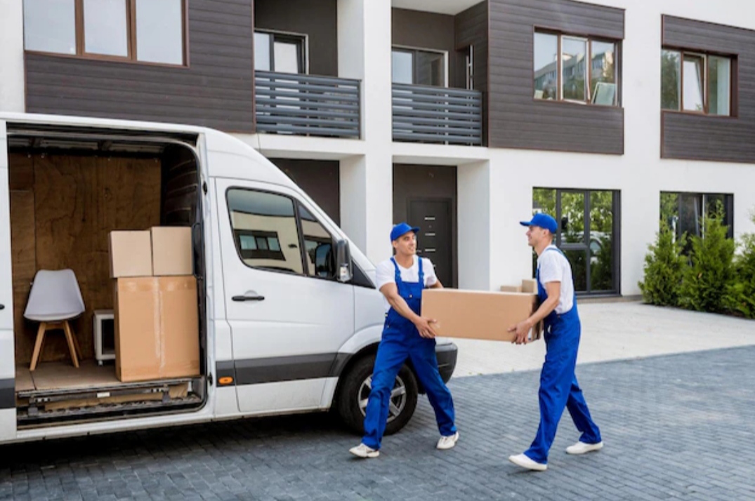 ������ ���������